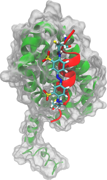 Crosslinked Bak Peptide bound to Bcl-xL (PDB: 2PL8)