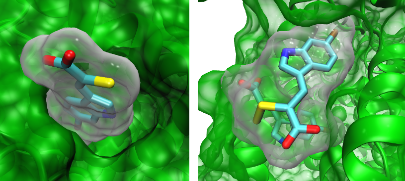 PDB strutures 4WQ2 and 4WQ3