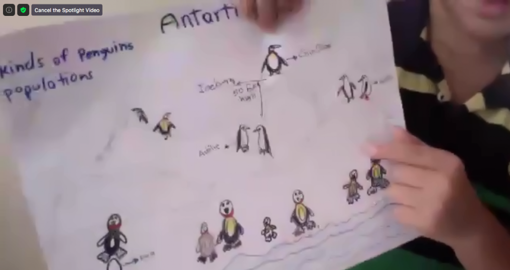 NJ youth are working with polar scientists to learn about polar food webs. This young student is presenting online his understanding of the feeding behavior of Adelie penguins in Antarctica. © Christine Bean
