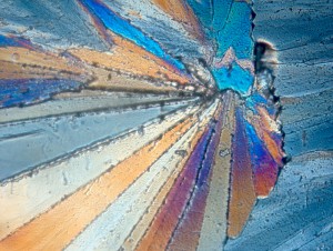 polarised light image of sugar crystals