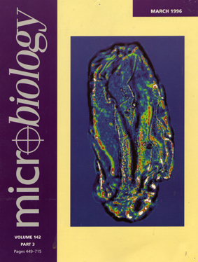 micro -march1996