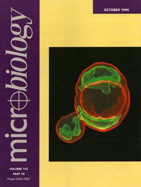 micro -oct 1996