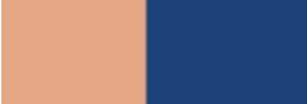 Two squares of colour: an orange and a blue. 