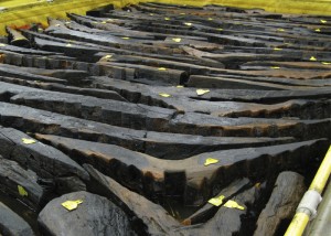 The ship timbers were kept in large tanks of water and PEG. Each timber has a unique ID number on a yellow tag.