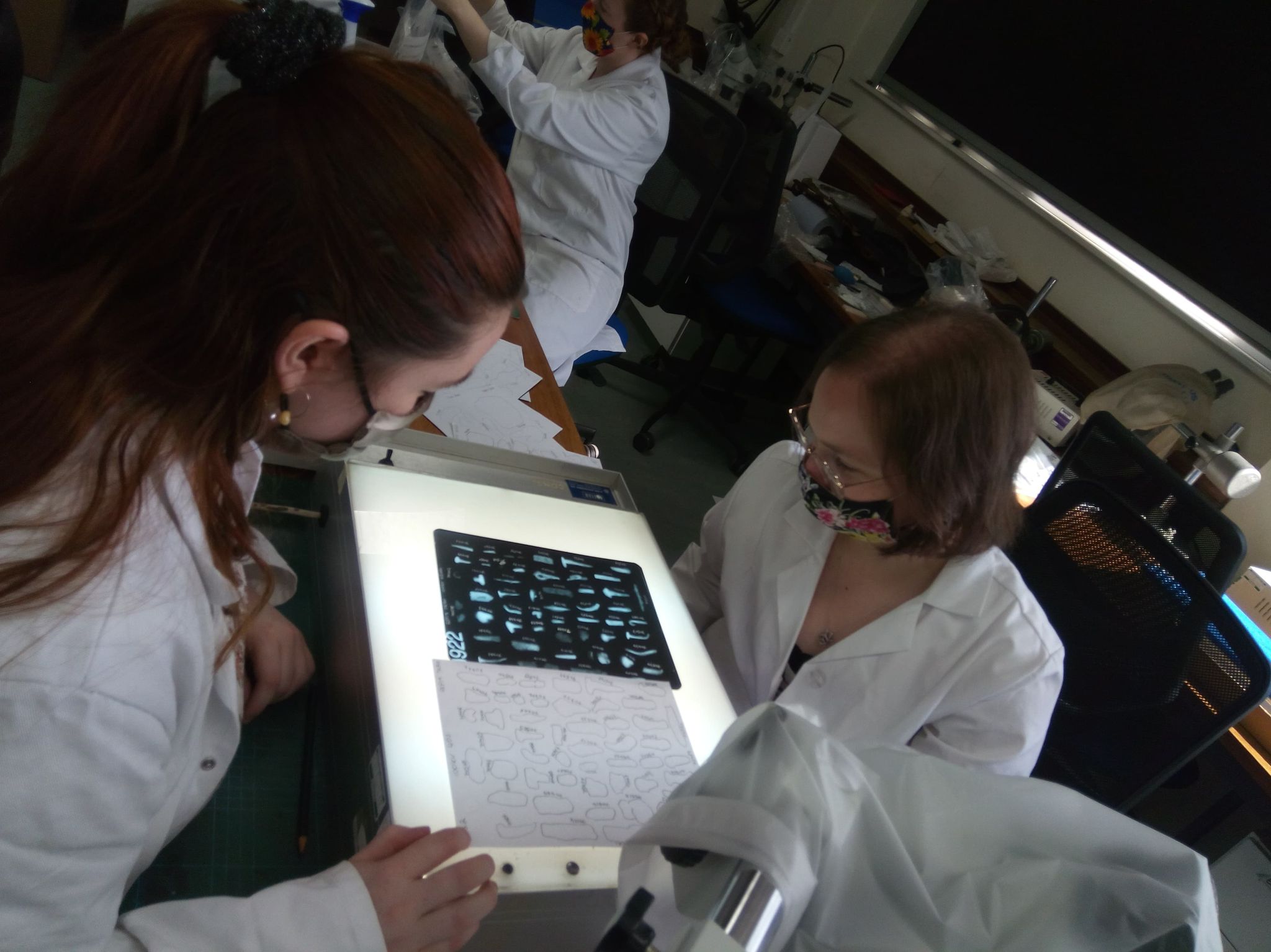 Three students wearing lab coats sat around a table. One student does a task out of frame; the two others sit at opposite sides of a lightbox viewing an X-ray.