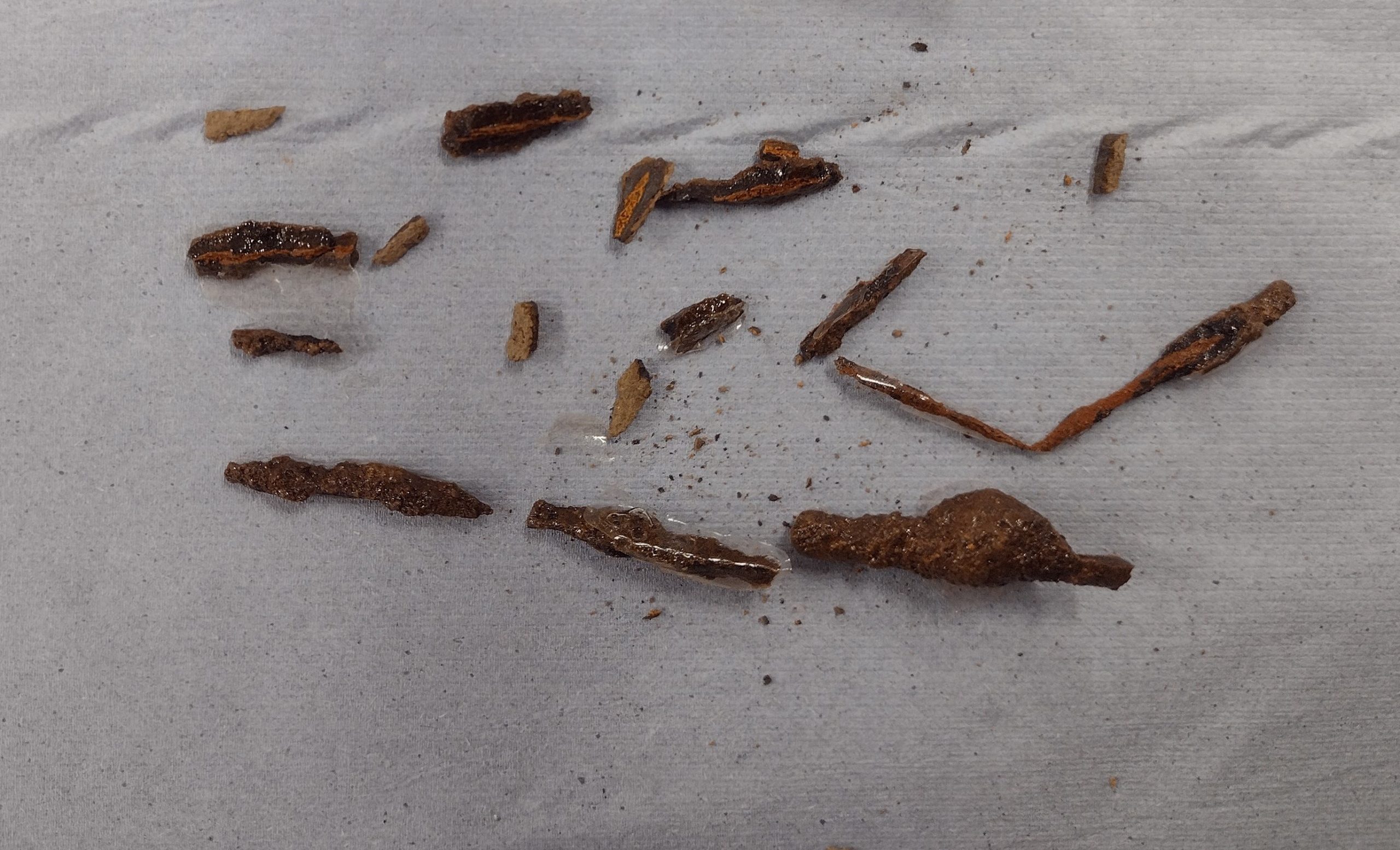 Many small fragments of an iron object covered in lumps of brown corrosion spread out on a piece of blue roll. Three larger long fragments at the bottom of the image show the surviving main body of the object.