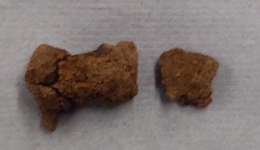 Two lumps, one larger and more cylindrical, and one smaller and flatter, covered in dark brown corrosion products.