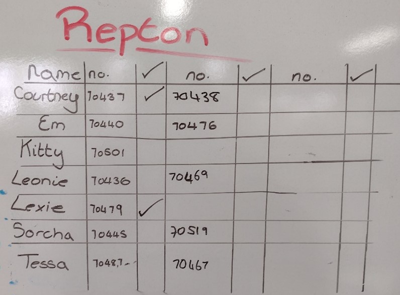 A table drawn on a whiteboard, titled 'Repton' and featuring a list of first names, the object numbers assigned to them, and ticks.