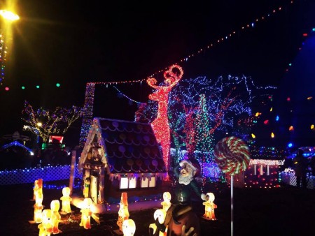 Stanley Park Christmas lights 