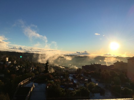 The mist in the mornings 