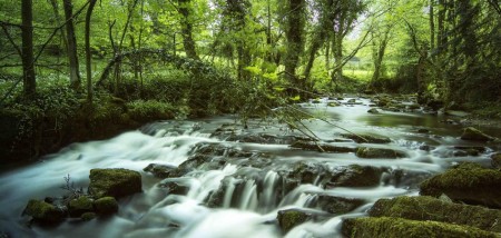 Landscape image, Cascade Woods, Llanferres, Clwydian Range and Dee Valley