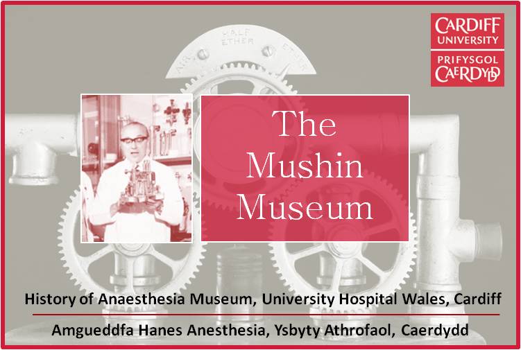 Logo_Welsh mushin museum