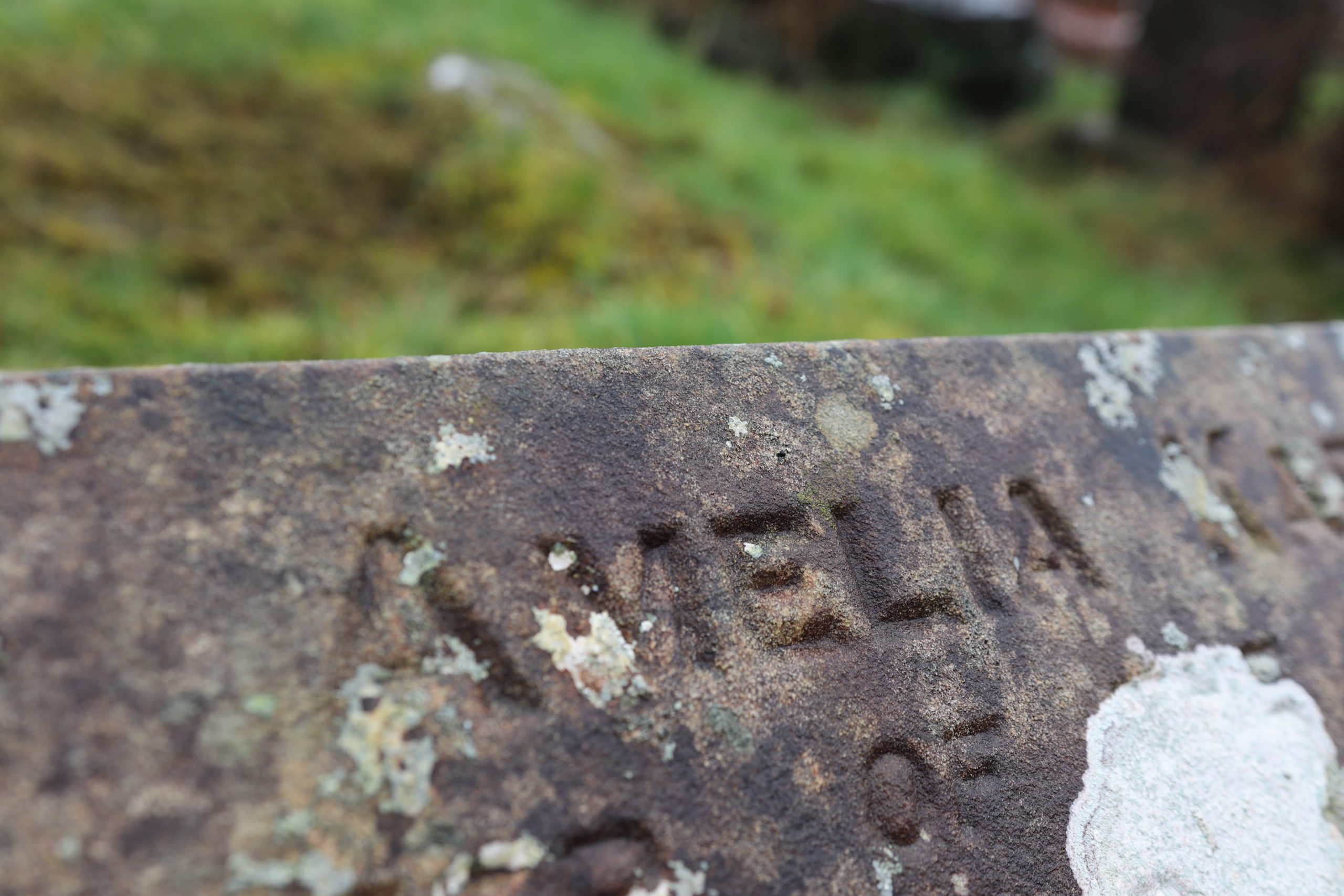 Closeup shot of the carved name 