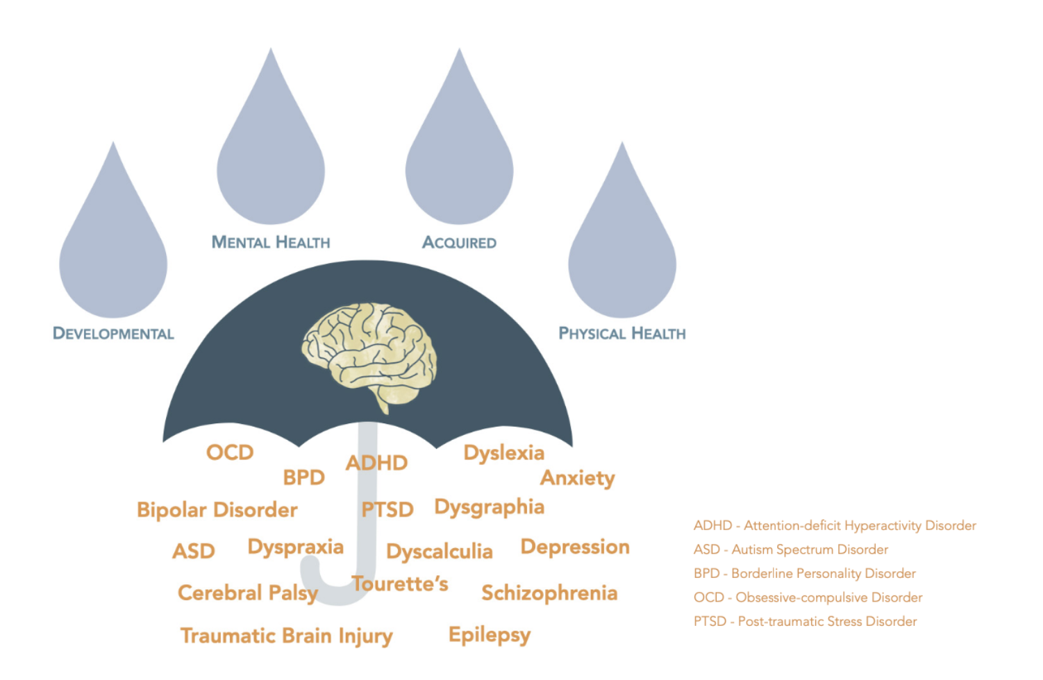 A diagram of a brain on an umbrella in the rain, with the following words underneath it: OCD, BPD, ADHD, Dyslexia, Anxiety, PTSD, Dysgraphia, Bipolar Disorder, ASD, Dyspraxia, Dyscalculia, Depression, Cerebral Palsy, Tourette's, Schizophrenia, Epilepsy, Traumatic Brain Injury.