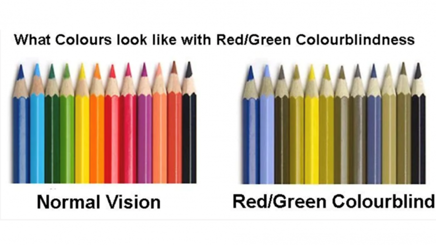 Colourful pencils in a line