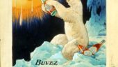 Cold and Fuzzy: Coca-Cola’s First Polar Bear