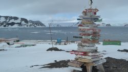 Unpacking the Motivation Behind Wintering at Polar Stations