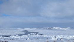 From the Floe Edge: Visualising Sea Ice in Kinngait, Nunavut