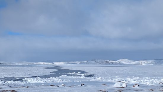 From the Floe Edge: Visualising Sea Ice in Kinngait, Nunavut