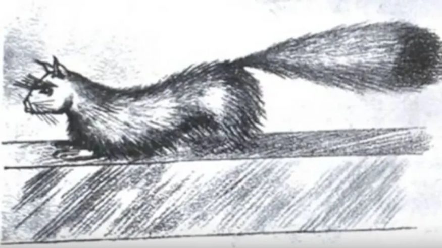 Gef the Talking Mongoose