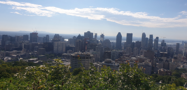 View of Montreal from Mount Royal