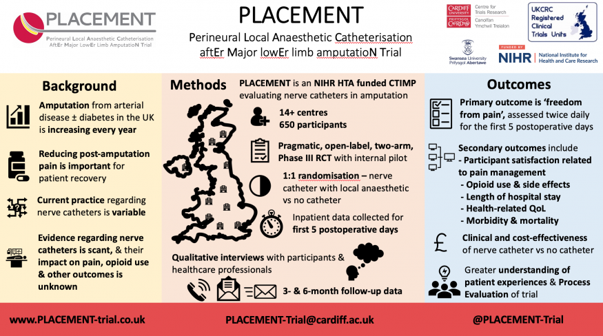PLACEMENT Infographic FINAL created on 19th October 2023.