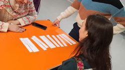 The Power of Community in the Peer MIST Project