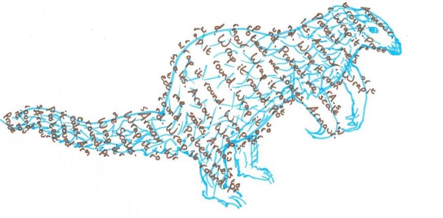 An example of some of the visual outcomes. A hand drawn picture of a watervole with handwritten text written across the body.