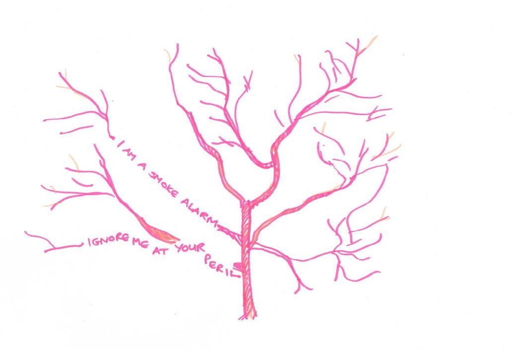 Example of one of the projects visual outcomes. It depicts a drawing of a tree with "I am a smoke alarm, Ignore me at your peril" written in the branches