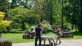 Making neighbourhood parks inclusive for teenage girls and young women in Cardiff