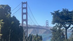 My Research Project in San Francisco