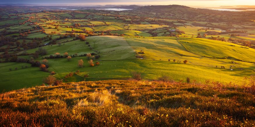 Image shows green rolling hills at sunset