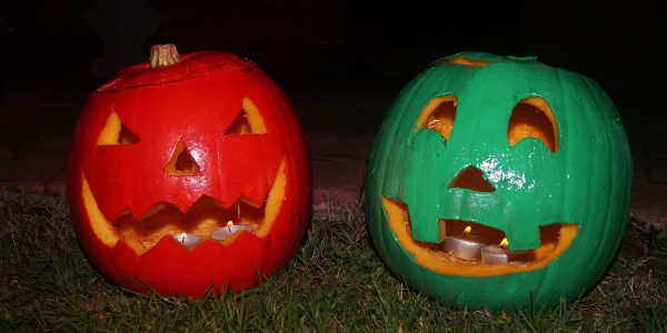 Some spooky pumpkins I carved last week