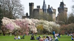 The best picnic spots for students in Cardiff