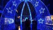 Experience the Magic of a London Christmas