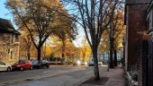 Things to do in Cardiff in autumn