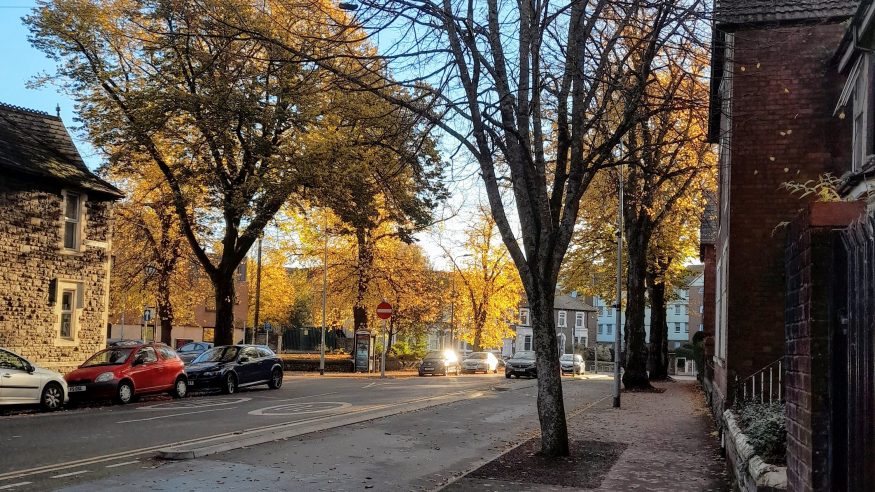 Autumn leaves on Senghennydd Road