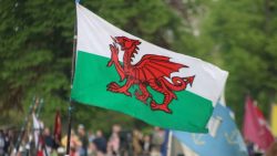 A Day for the Dragon: Celebrating St. David’s Day at Cardiff University