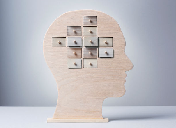 Schizophrenia from abnormal memory genes