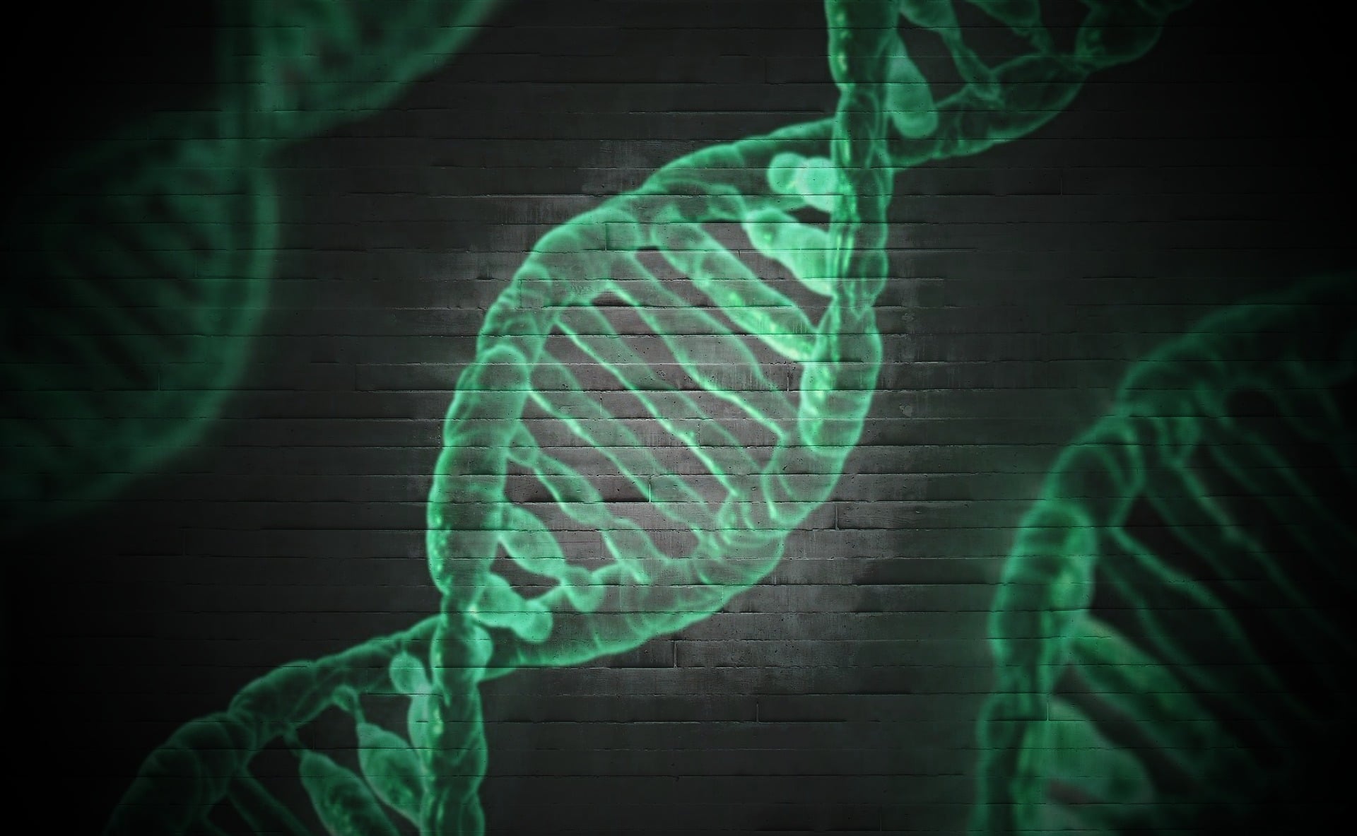 Shedding light on epilepsy in 22q11.2 Deletion Syndrome