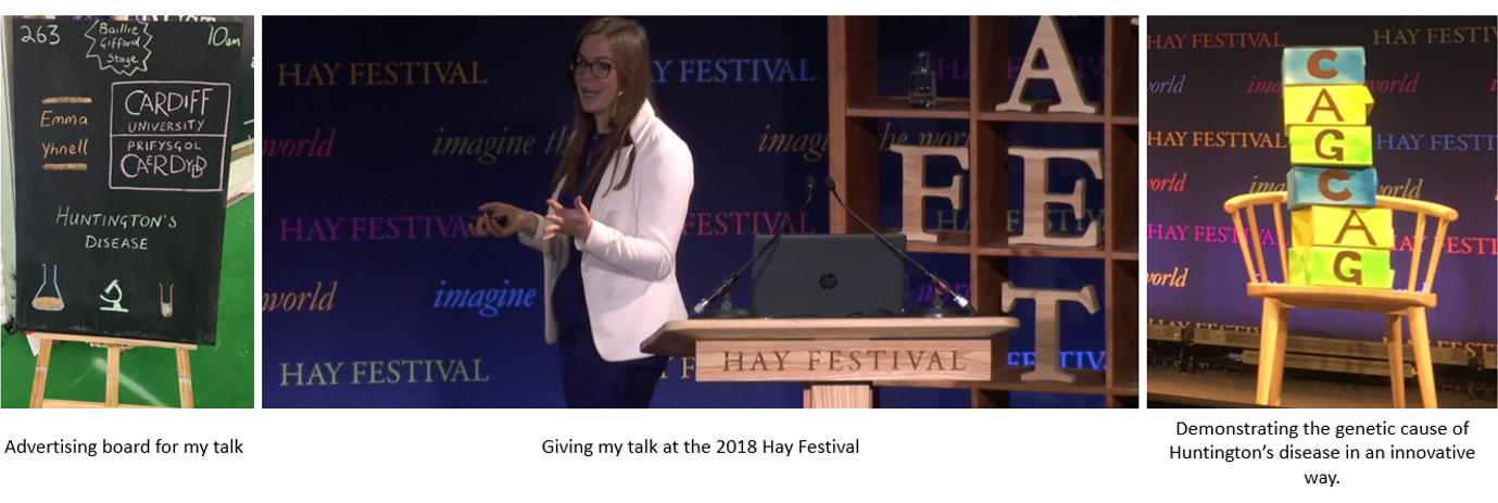 My reflections on speaking at the Hay Festival