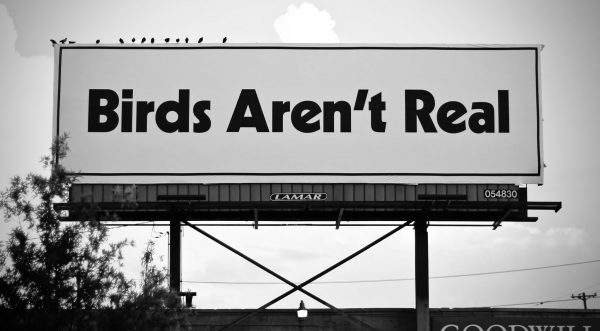 “Birds aren’t real” billboard in Memphis (with real birds)