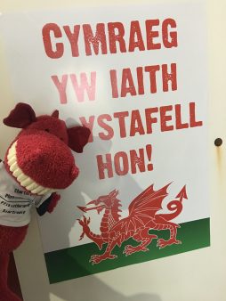 Welsh is the language of this room!