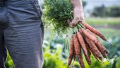 Carrots, Sticks and Buckets of Time Tricks