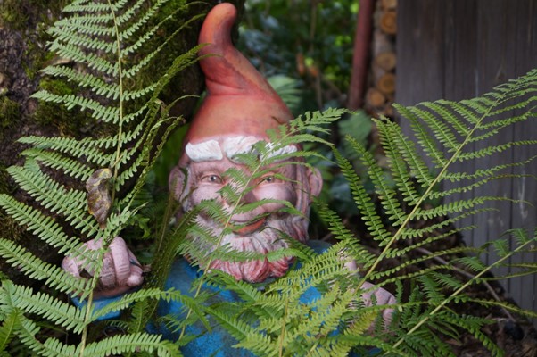Gnome hiding in fern leaves smiling
