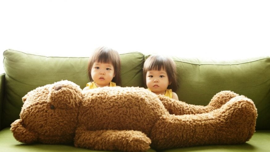 Twins - representing to know and to know behind a big bear