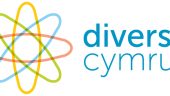 From insight to Career – My experience at Diverse Cymru.