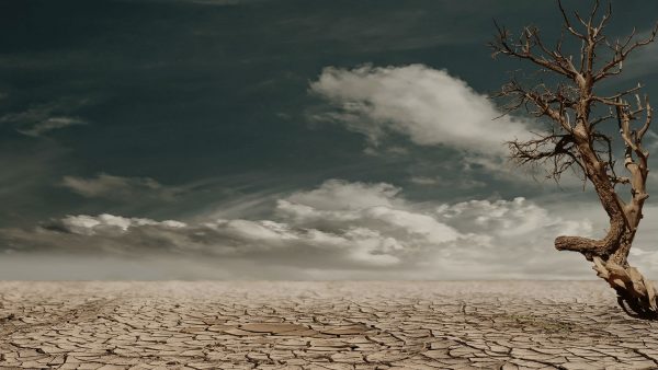 Image of arid desert