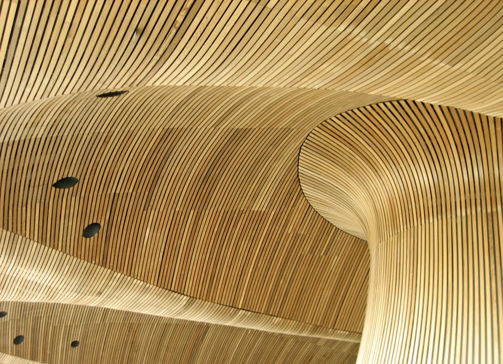 Wood-pannelled roof of Senedd building in Cardiff Bay.