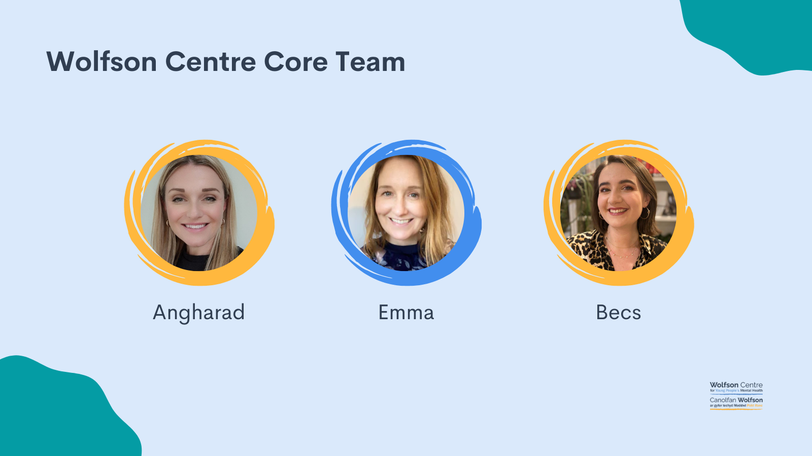 A graphic showing the Wolfson Professional Services team